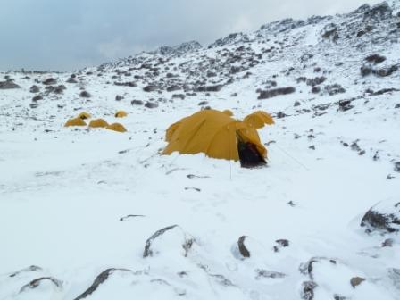 morningsnow